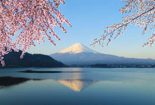 Japan in Cherry Blossom Season