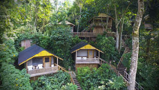 Uganda, Bwindi, Buhoma Lodge