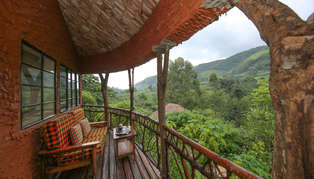 Mahogany Springs Safari Lodge, Bwindi, Uganda