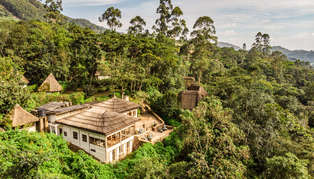 Bwindi Lodge, Bwindi Impenetrable Forest, Uganda, Africa